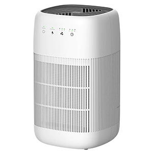 Afloia HEPA Air Purifier and Dehumidifier 2 in 1
