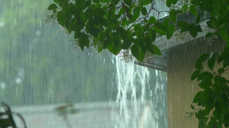 Rain flows from a house roof into a gutter during rain